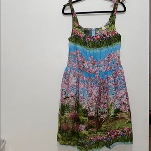 Bernie Dexter 100% cotton printed dress size 2x.